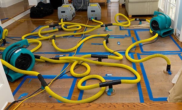 Professional Crawl Space Water Removal technician working in Henley, MO